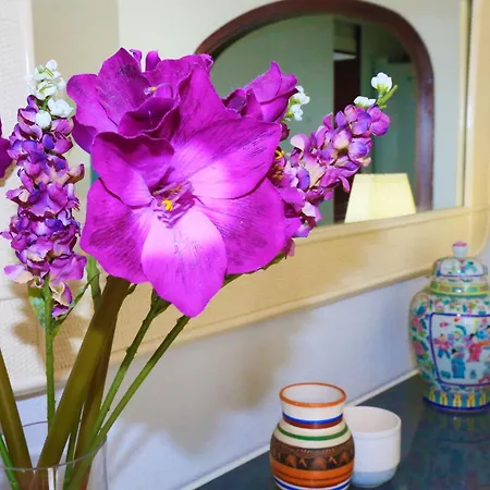 Versalles C 1 1 - Only Families Apartment Cambrils