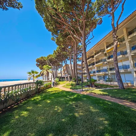 Lägenhet Versalles C 1 1 - Only Families Cambrils